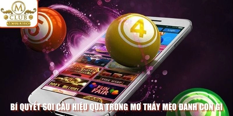 Bí quyết soi cầu hiệu quả trong mơ thấy mèo đánh con gì