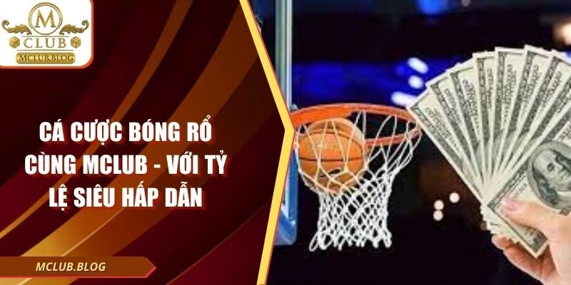 Cá Cược Bóng Rổ Cùng Mclub - Với Tỷ Lệ Siêu Hấp Dẫn