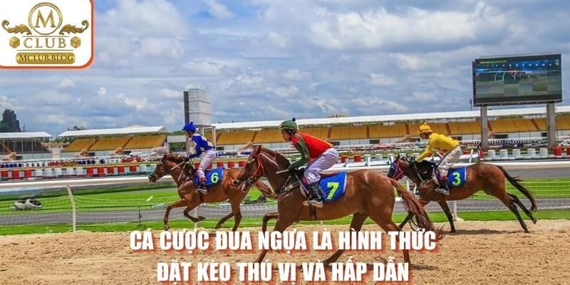 Cá cược đua ngựa là hình thức đặt kèo thú vị và hấp dẫn