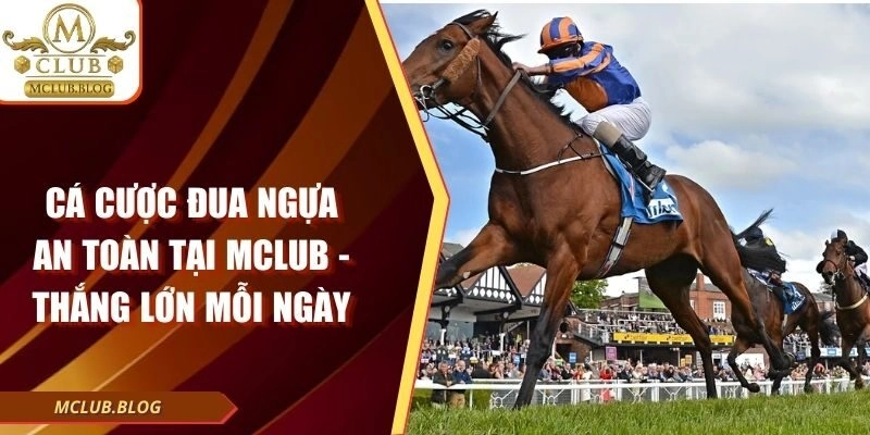 Cá Cược Đua Ngựa An Toàn Tại Mclub - Thắng Lớn Mỗi Ngày