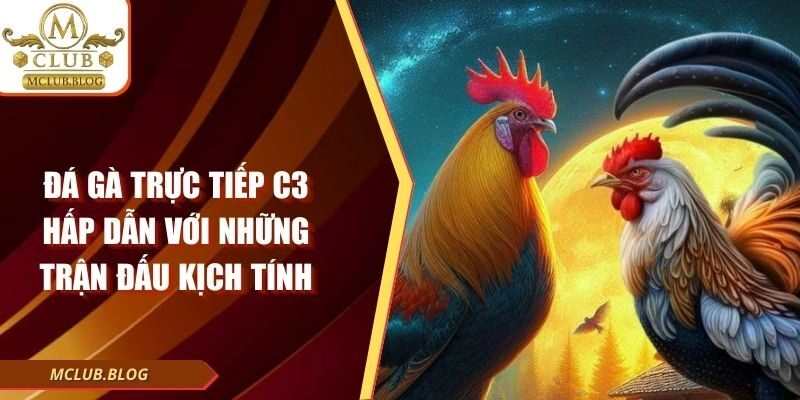 Đá Gà Trực Tiếp C3 Hấp Dẫn Với Những Trận Đấu Kịch Tính