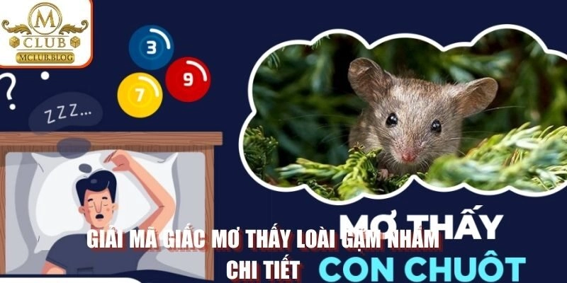 Giải mã giấc mơ thấy loài gặm nhấm chi tiết