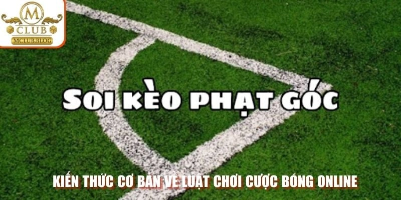 Kiến thức cơ bản về luật chơi cược bóng online