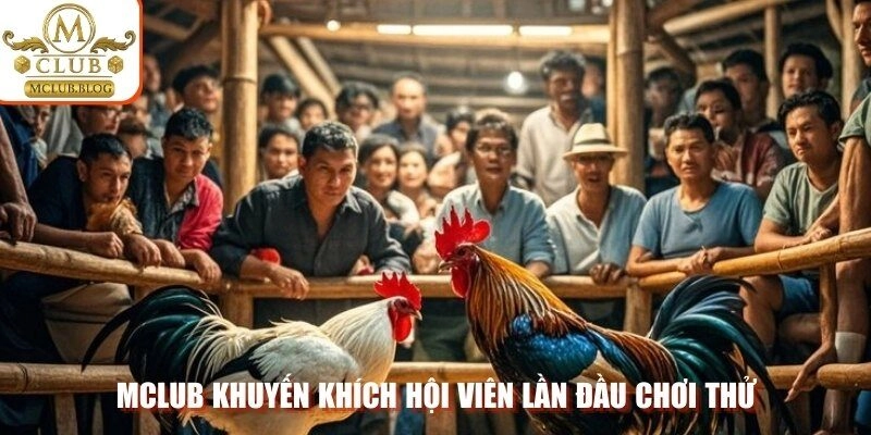 Mclub khuyến khích hội viên lần đầu chơi thử