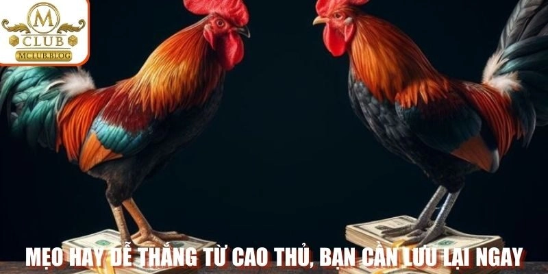 Mẹo hay dễ thắng từ cao thủ, bạn cần lưu lại ngay