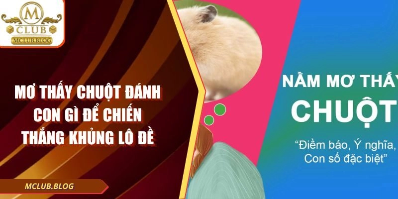 Mơ Thấy Chuột Đánh Con Gì Để Chiến Thắng Khủng Lô Đề