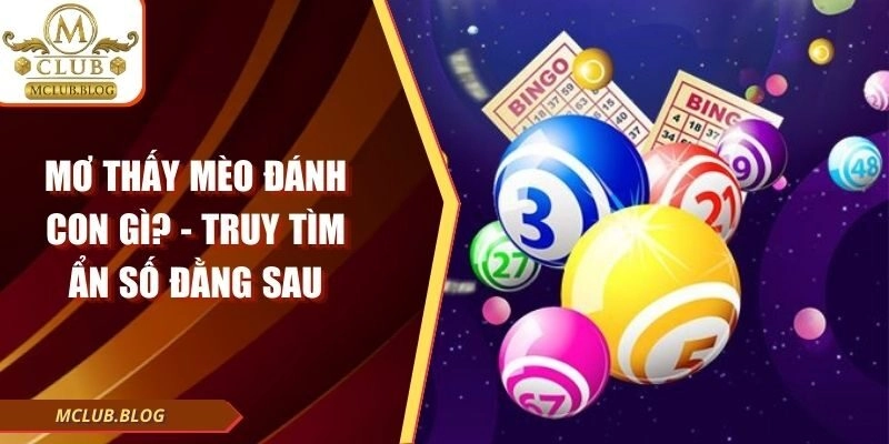 Mơ Thấy Mèo Đánh Con Gì? – Truy Tìm Ẩn Số Đằng Sau