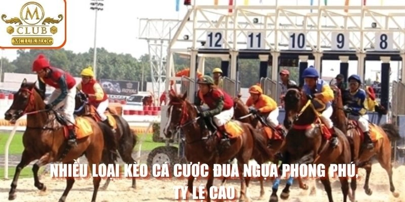 Nhiều loại kèo cá cược đua ngựa phong phú, tỷ lệ cao
