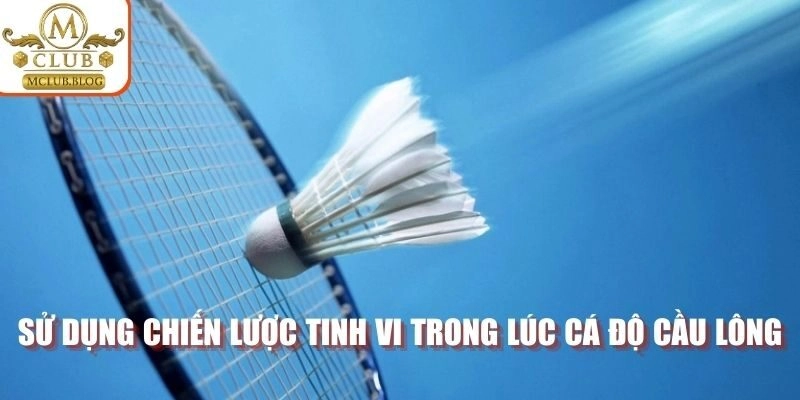 Sử dụng chiến lược tinh vi trong lúc cá độ cầu lông