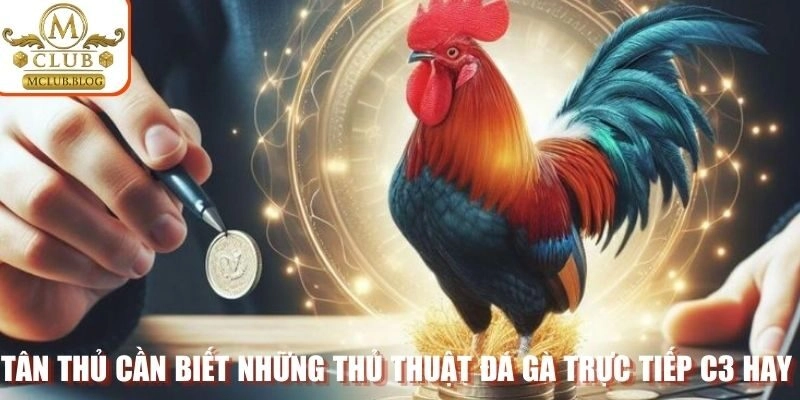 Tân thủ cần biết những thủ thuật đá gà trực tiếp C3 hay
