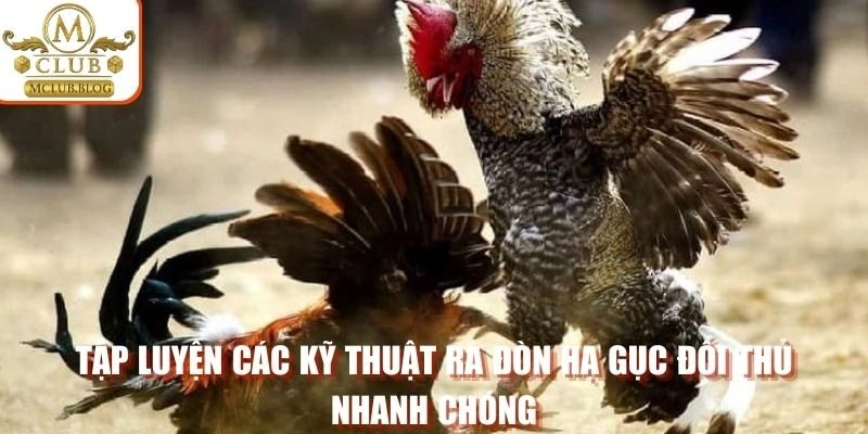 Tập luyện các kỹ thuật ra đòn hạ gục đối thủ nhanh chóng