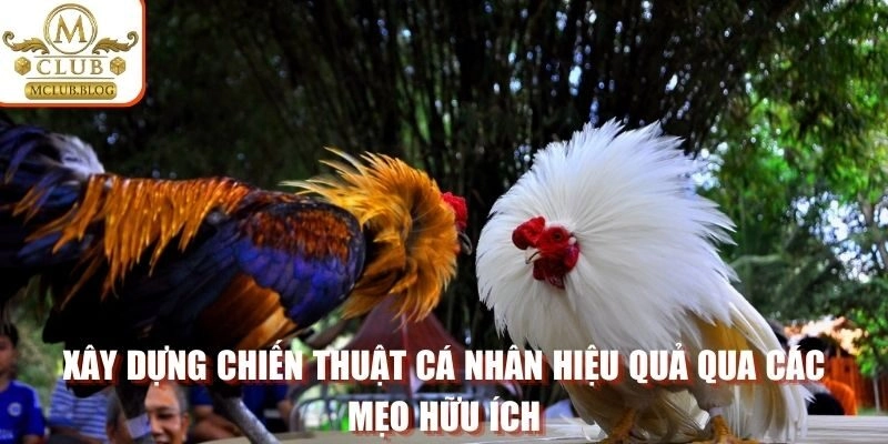 Xây dựng chiến thuật cá nhân hiệu quả qua các mẹo hữu ích