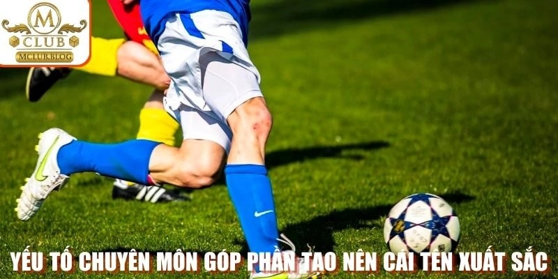 Yếu tố chuyên môn góp phần tạo nên cái tên xuất sắc